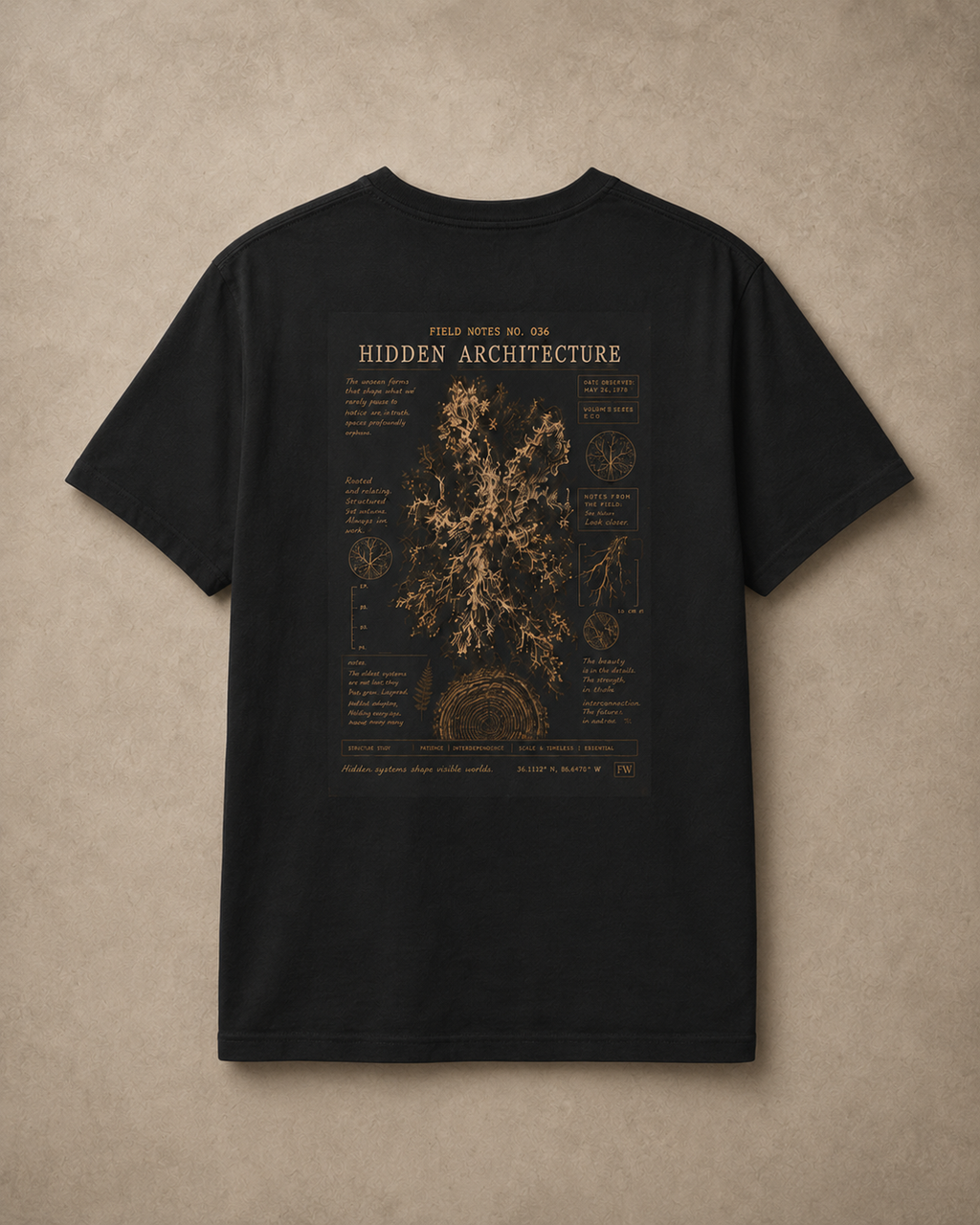 Field Note No. 036 — Hidden Architecture