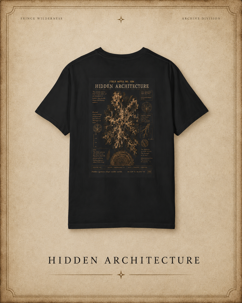 Field Note No. 036 — Hidden Architecture