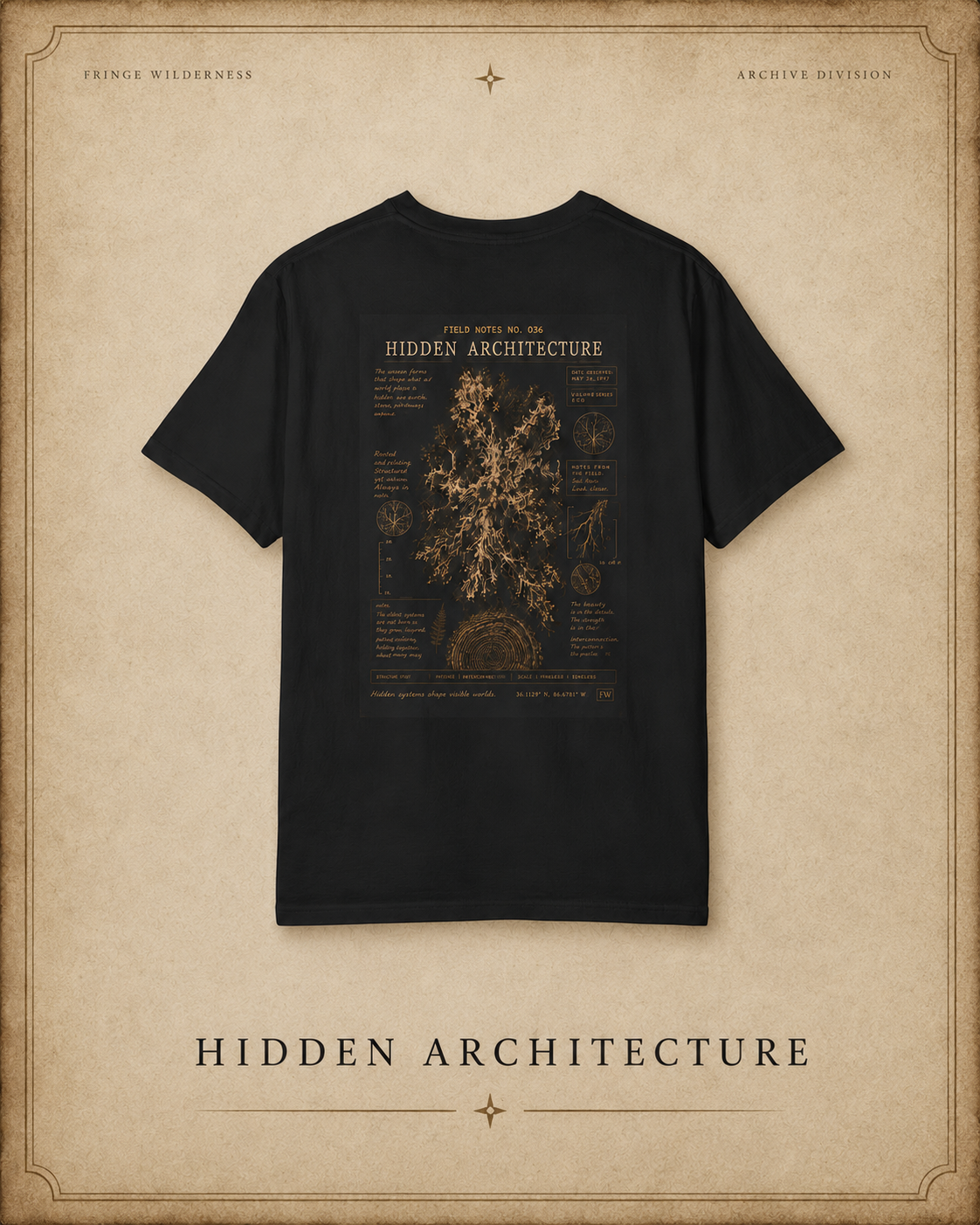 Field Note No. 036 — Hidden Architecture