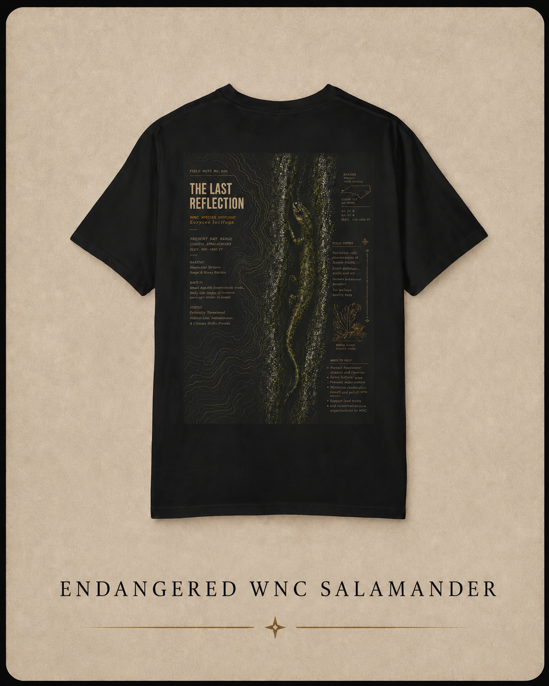 Endangered WNC Salamander