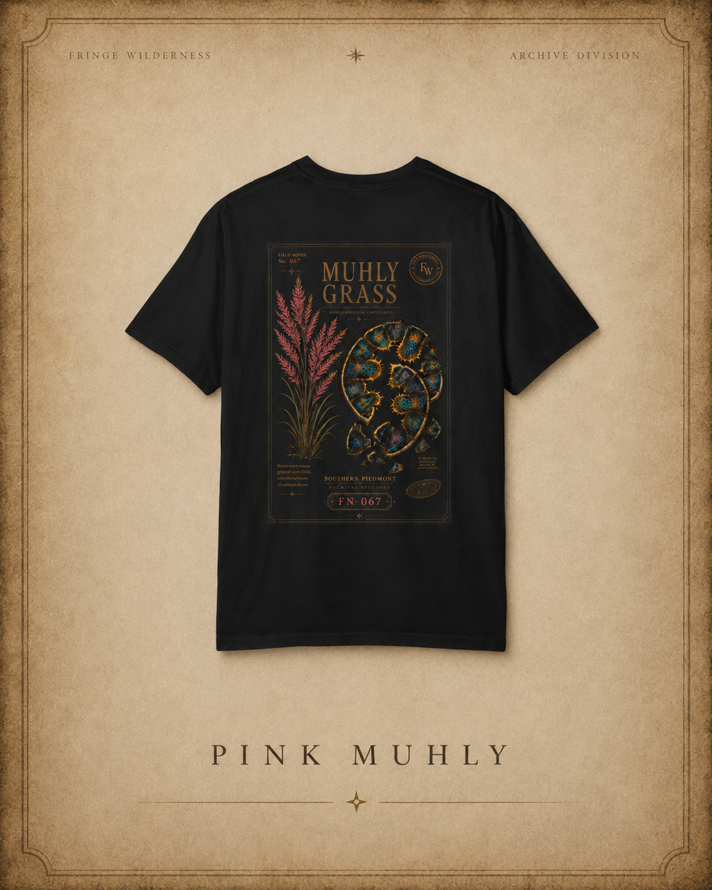 Field Note No. 067 — Pink Muhly