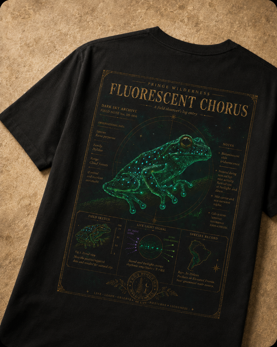 DS-006 — Fluorescent Chorus