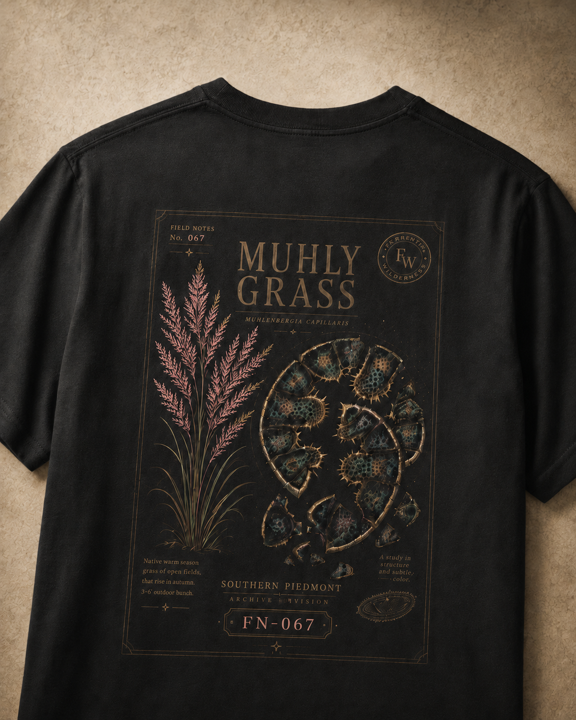 Pink Muhly